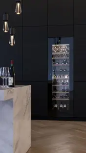 Встраиваемый винный шкаф V-ZUG WineCooler V6000 WC6T-51135 фото 2 Встраиваемый винный шкаф V-ZUG WineCooler V6000 WC6T-51135 фото 2