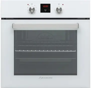Духовой шкаф Schaub Lorenz SLB EW6353 фото 1