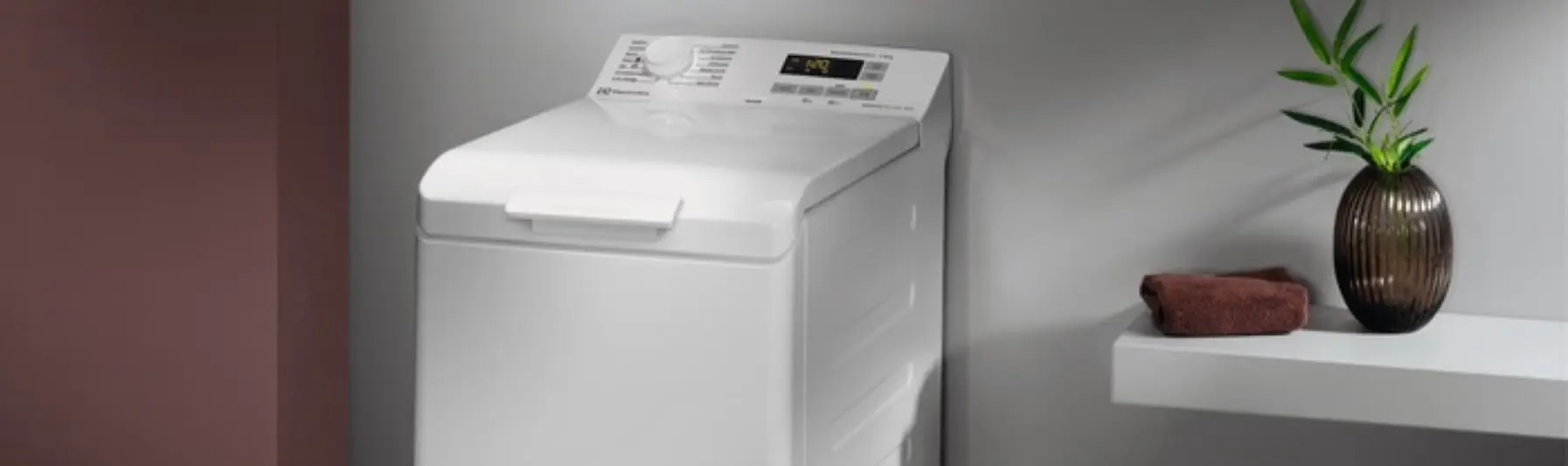 electrolux_ewstirka.jpg