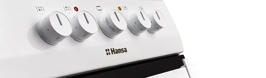 Новинки плит в 2021 году