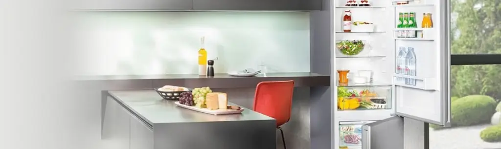 Топ-10 холодильников Либхер