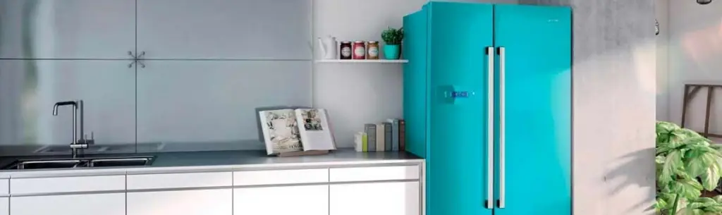 Правила ухода за холодильниками Горенье