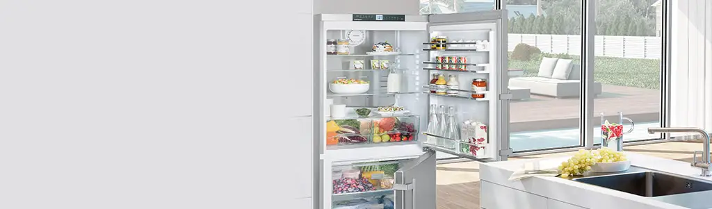 Отдельностоящие холодильники