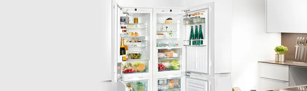 Встраиваемые холодильники Liebherr