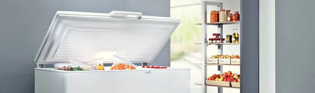 Как выбрать морозильный шкаф для дома