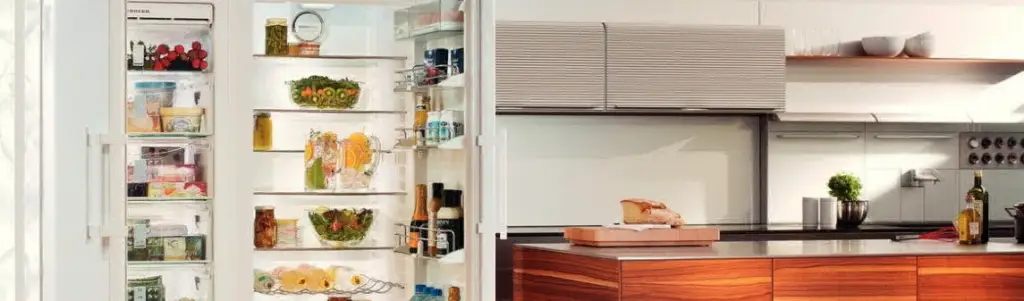 Внешний вид Внешний вид