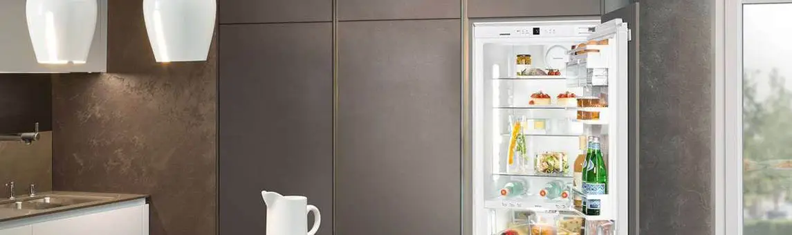 Рейтинг встраиваемых холодильников 2023 года: ТОП-15 лучших моделей