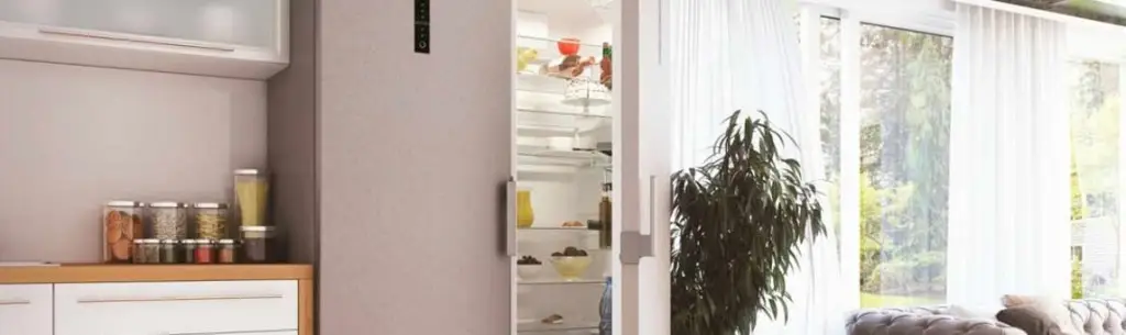 Холодильники Горенье