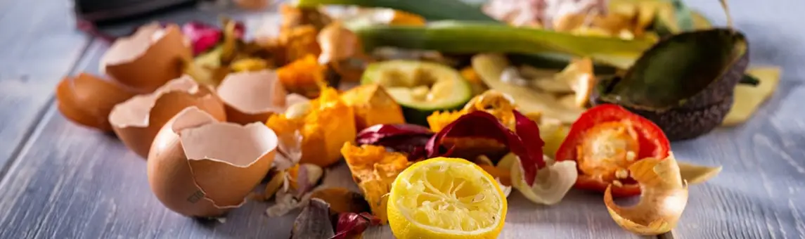 Измельчители Midea