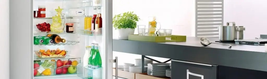 10 самых популярных холодильников Liebherr