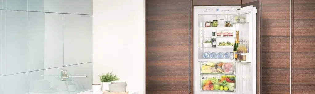 Встраиваемые холодильники Liebherr