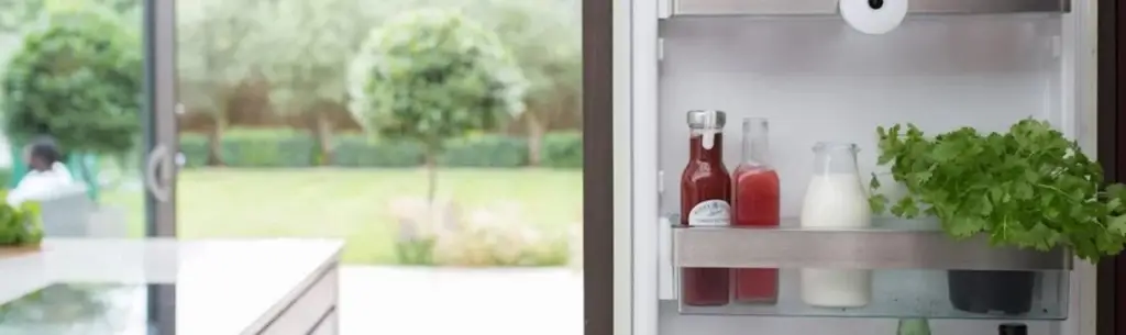 Мытье холодильников Bosch