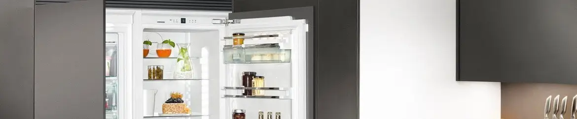 Встраиваемые холодильники