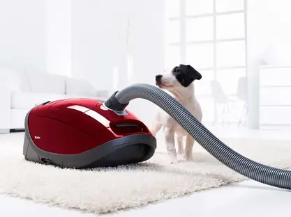 Пылесос Miele SGEF5 Complete C3 PowerLine Cat&Dog tayperry red фото 2 Пылесос Miele SGEF5 Complete C3 PowerLine Cat&Dog tayperry red фото 2
