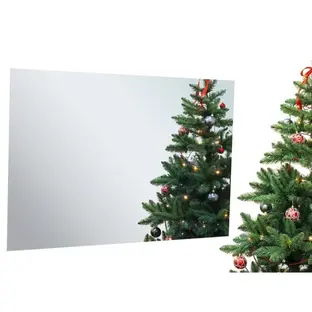 Телевизор для ванной комнаты AVEL AVS555SMFM (AVS555SM Mirror HB) фото 2