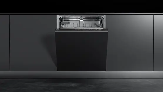 Посудомоечная машина Teka DFI 46900 фото 3