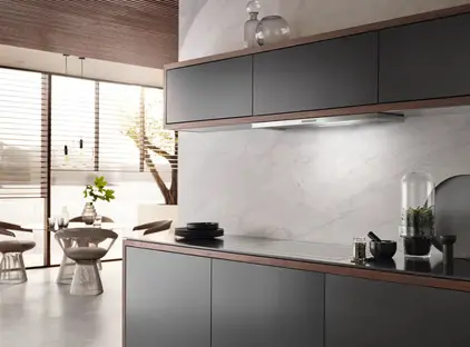 Встраиваемая вытяжка Miele DAS 2920 фото 3 Встраиваемая вытяжка Miele DAS 2920 фото 3