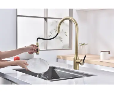 Смеситель Paulmark UNIVERSAL Un213880-LG светлое золото фото 2