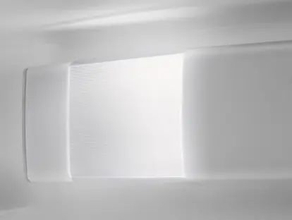 Холодильник Electrolux RNT3LF18S фото 2