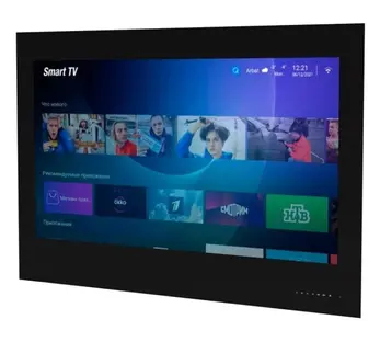 Телевизор для ванной комнаты AVEL AVS435SMBF (AVS435SM Black) фото 1