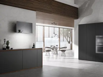 Вытяжка Miele DA 9091 W GRGR фото 2 Вытяжка Miele DA 9091 W GRGR фото 2