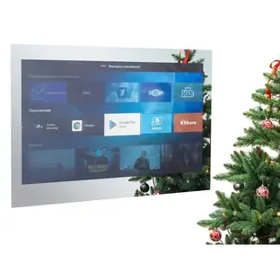 Телевизор для ванной комнаты AVEL AVS555SMFM (AVS555SM Mirror HB) фото 1