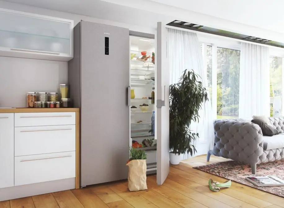 Холодильник Gorenje R6192LX фото 9