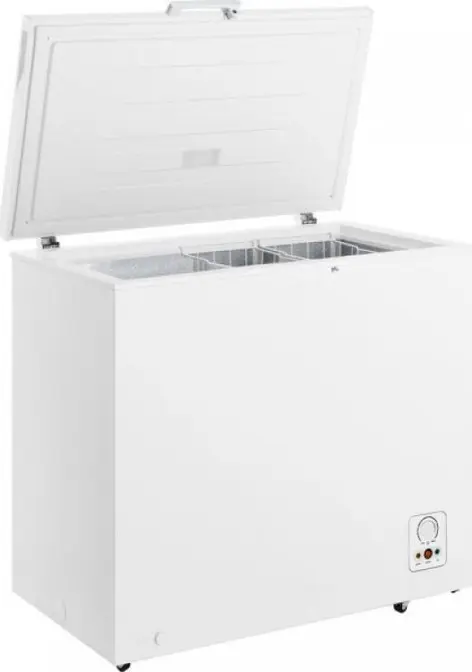Холодильник Gorenje FH21FPW фото 1