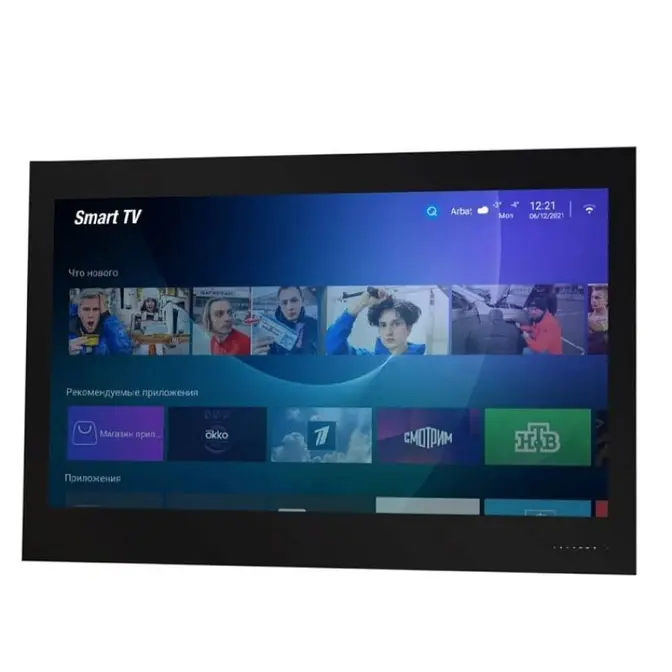 Телевизор для ванной комнаты AVEL AVS555SM (Black HB) фото 1
