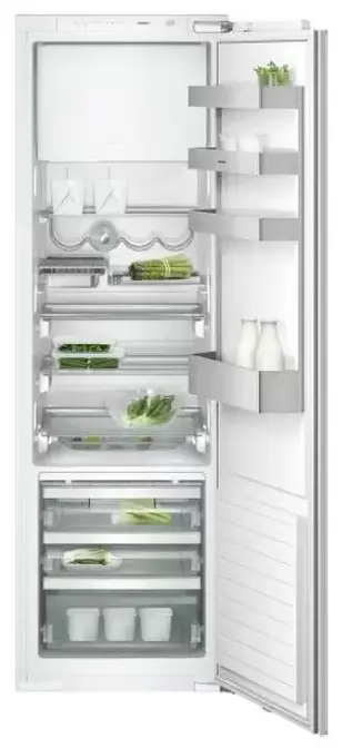 Холодильник Gaggenau RT 289-203 фото 1