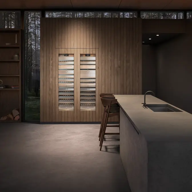 Винный холодильник Gaggenau RW466365 фото 3