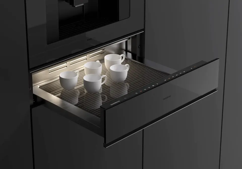Шкаф для подогрева посуды Gaggenau GW251100 фото 6