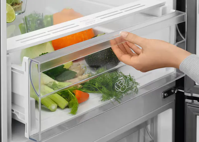 Холодильник ELECTROLUX LNT5ME32U1 фото 5