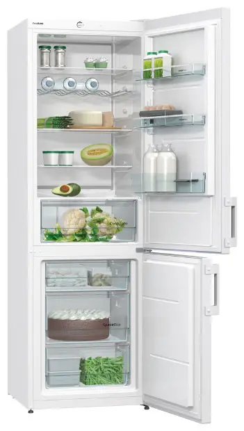 Двухкамерный холодильник Gorenje RK 6191 AW фото 1