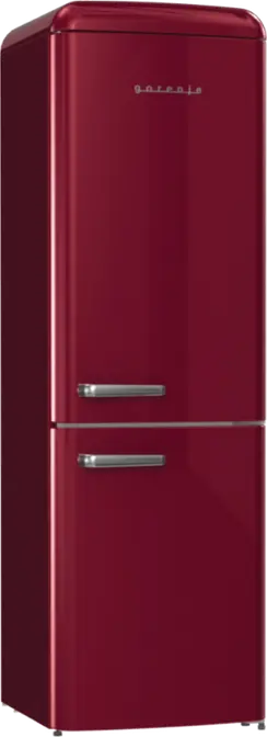 Двухкамерный холодильник Gorenje ONRK619ER фото 3