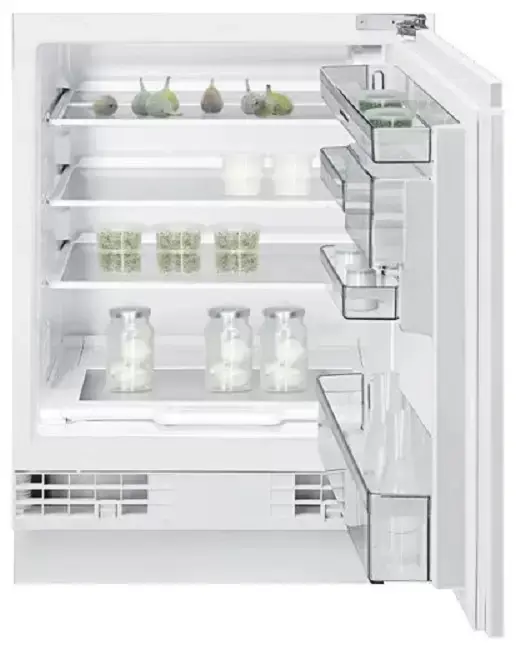 Холодильник Gaggenau RC 200-100 фото 1