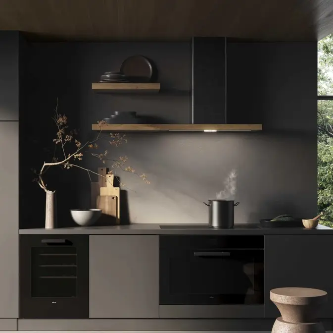 Вытяжка Elica BIO BLRO/A 90 ROVERE фото 3