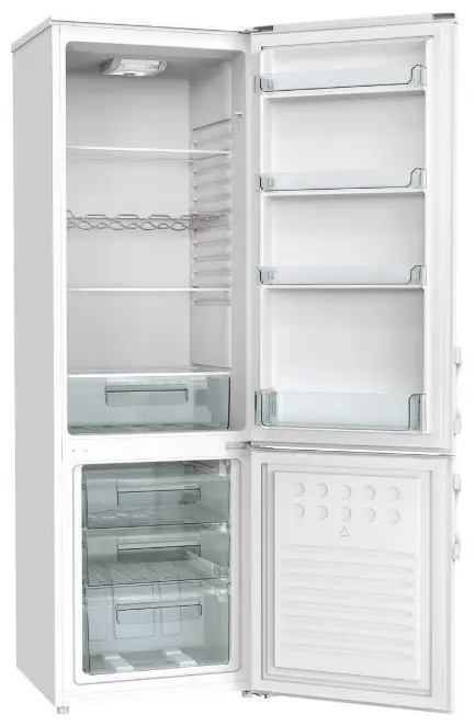 Двухкамерный холодильник Gorenje RK 4171 ANW2 фото 1
