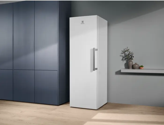 Холодильник Electrolux RUT5NF28W1 фото 3
