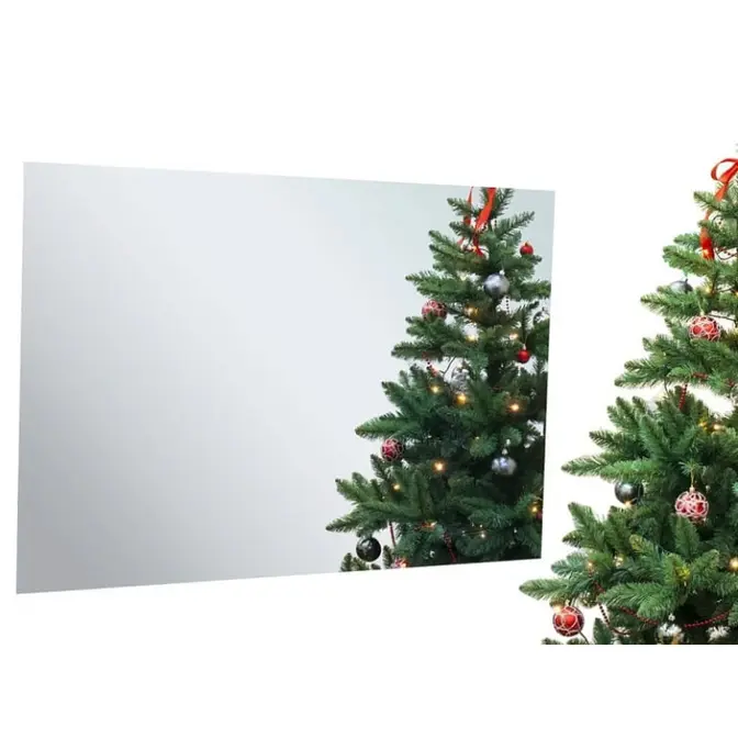 Телевизор для ванной комнаты AVEL AVS555SMFM (AVS555SM Mirror HB) фото 2