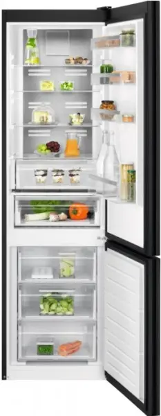 Холодильник Electrolux RNT7ME34K1 фото 1