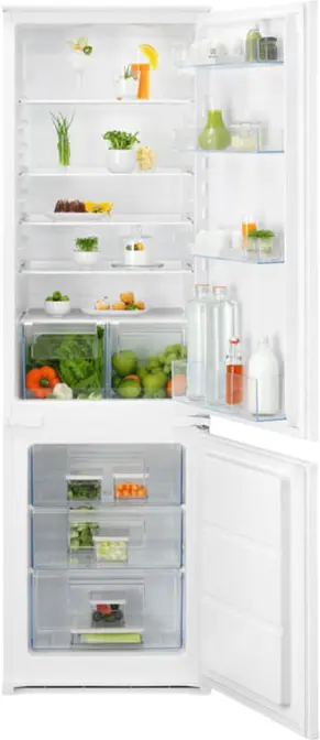 Холодильник Electrolux LNS5LE18S фото 1