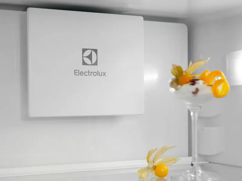 Холодильник Electrolux ENT6MD19S3 фото 6