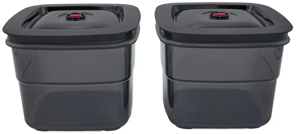 Вакуумные контейнеры BORA QVACVBO2 (2x 2 л) Вакуумные контейнеры BORA QVACVBO2 (2x 2 л)