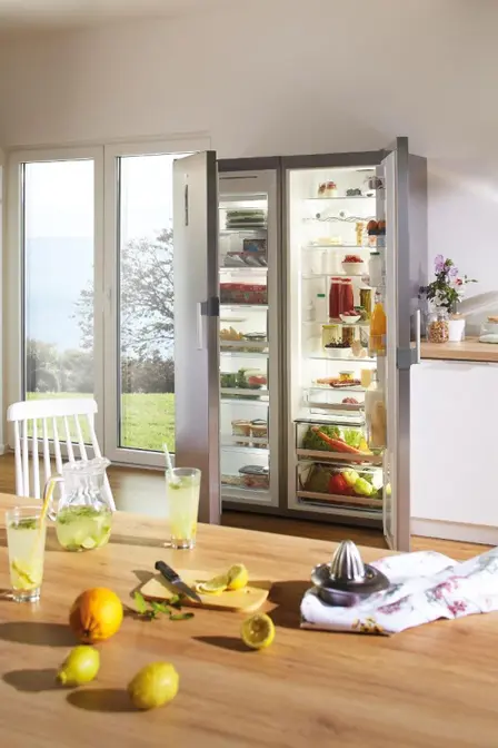 Холодильник Gorenje R6192LX фото 9
