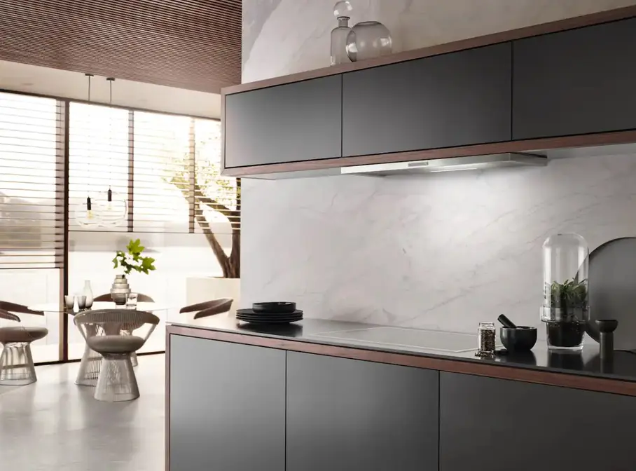 Встраиваемая вытяжка Miele DAS 2920 фото 3