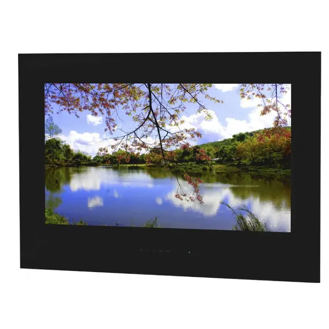 Телевизор для ванной комнаты AVEL AVS245SMBF (AVS245SM Black) фото 1