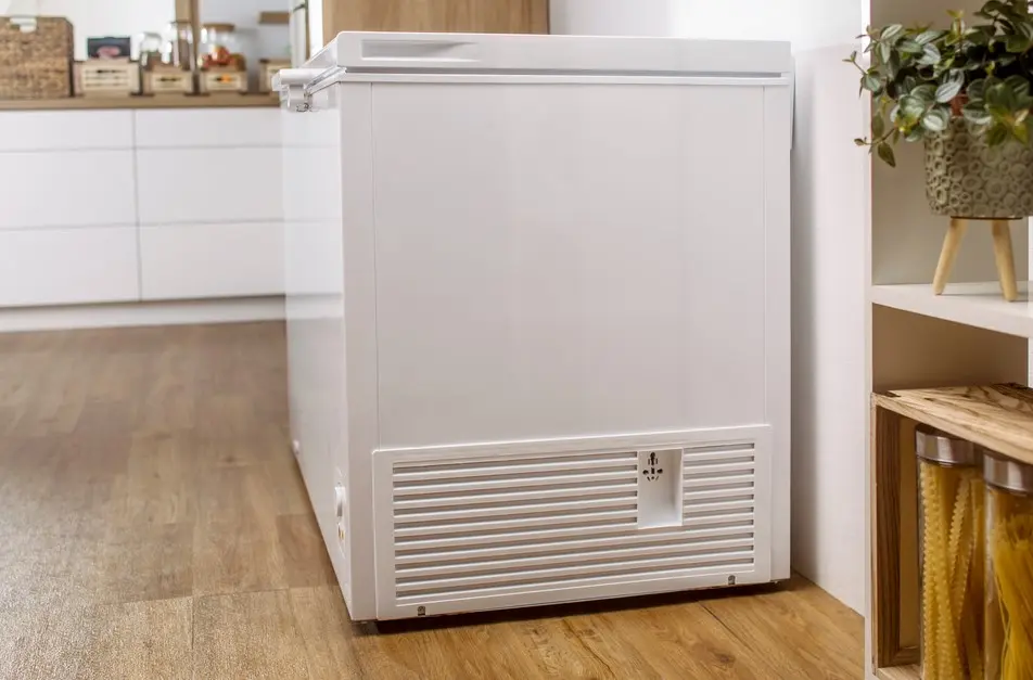 Морозильный ларь Gorenje FH451CW фото 12
