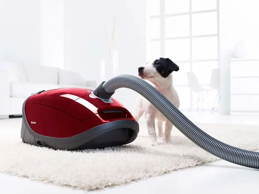 Пылесос Miele Complete C3 Cat&Dog Flex PowerLine SGEF5