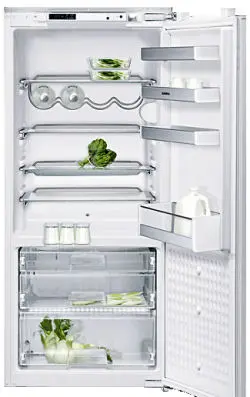 Холодильник Gaggenau RC 222-100 фото 1